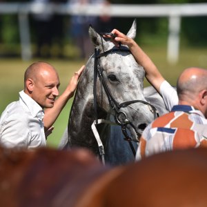 Ripon | Go Racing Yorkshire | 16/7/22