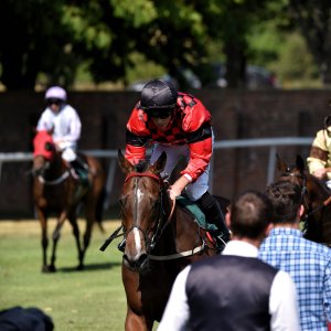Ripon | Go Racing Yorkshire | 16/7/22