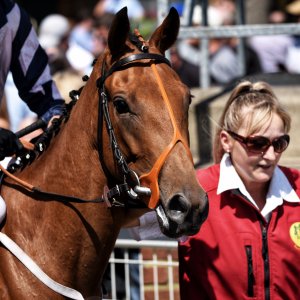 Ripon | Go Racing Yorkshire | 16/7/22