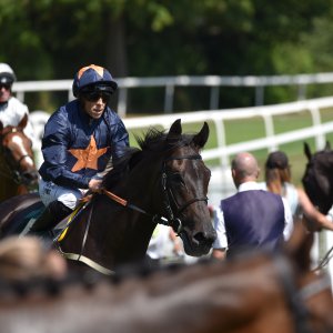 Ripon | Go Racing Yorkshire | 16/7/22