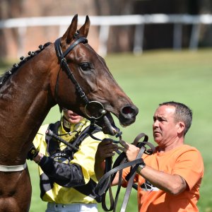 Ripon | Go Racing Yorkshire | 16/7/22