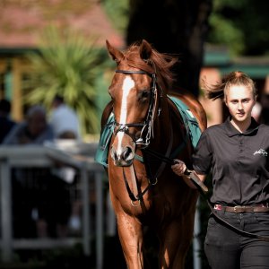 Ripon | Go Racing Yorkshire | 16/7/22