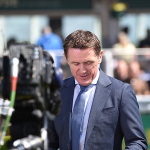 Sandown Park | Jump Finale | 29/4/23