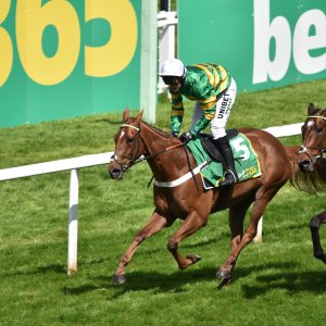 Sandown Park | Jump Finale | 29/4/23