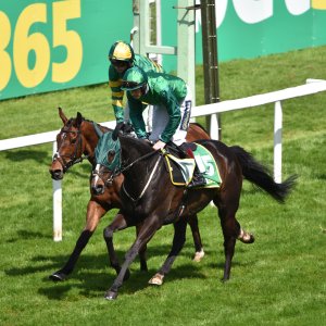 Sandown Park | Jump Finale | 29/4/23