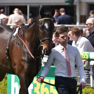 Sandown Park | Jump Finale | 29/4/23