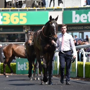 Sandown Park | Jump Finale | 29/4/23