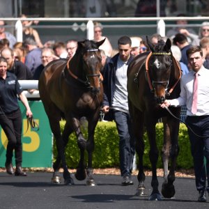 Sandown Park | Jump Finale | 29/4/23