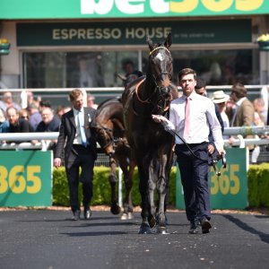 Sandown Park | Jump Finale | 29/4/23