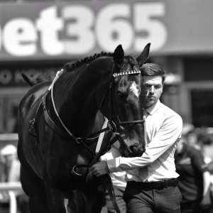 Sandown Park | Jump Finale | 29/4/23