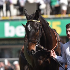 Sandown Park | Jump Finale | 29/4/23