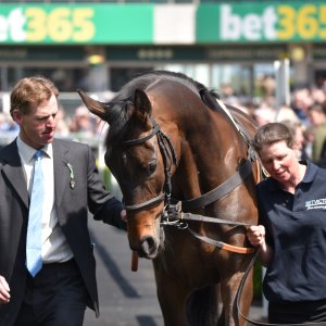 Sandown Park | Jump Finale | 29/4/23