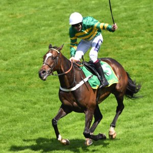 Sandown Park | Jump Finale | 29/4/23