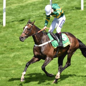 Sandown Park | Jump Finale | 29/4/23