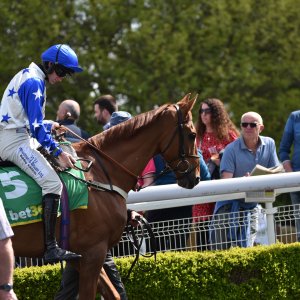 Sandown Park | Jump Finale | 29/4/23