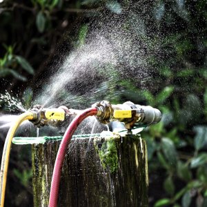 Sandown Park | Jump Finale | 29/4/23