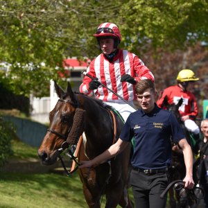 Sandown Park | Jump Finale | 29/4/23