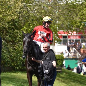 Sandown Park | Jump Finale | 29/4/23