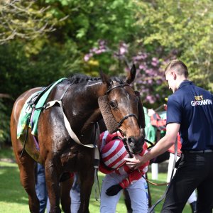 Sandown Park | Jump Finale | 29/4/23
