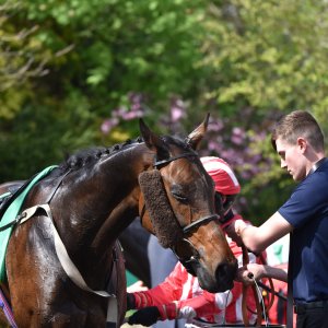 Sandown Park | Jump Finale | 29/4/23