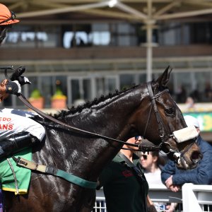 Sandown Park | Jump Finale | 29/4/23