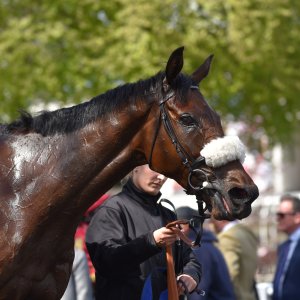 Sandown Park | Jump Finale | 29/4/23