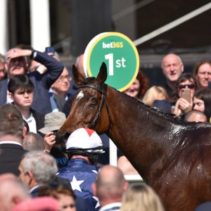 Sandown Park | Jump Finale | 29/4/23