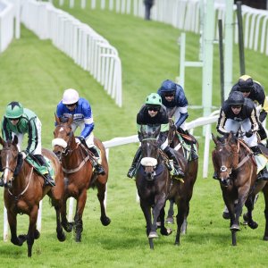 Sandown Park | Jump Finale | 29/4/23