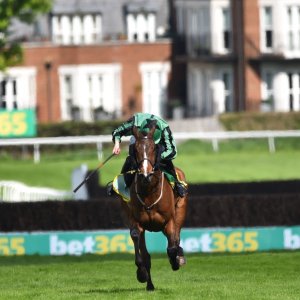 Sandown Park | Jump Finale | 29/4/23