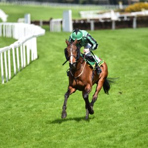 Sandown Park | Jump Finale | 29/4/23