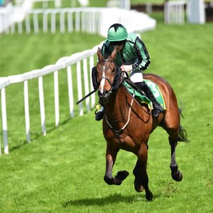 Sandown Park | Jump Finale | 29/4/23