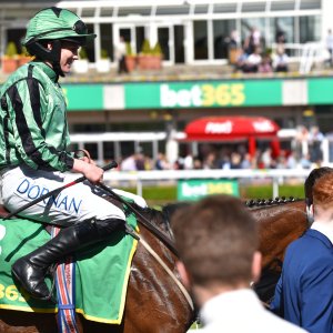 Sandown Park | Jump Finale | 29/4/23