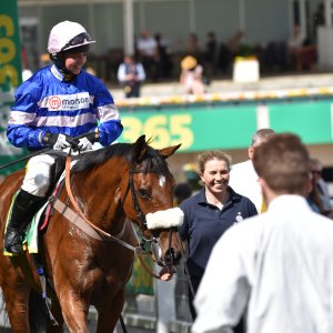 Sandown Park | Jump Finale | 29/4/23