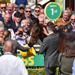 Sandown Park | Jump Finale | 29/4/23