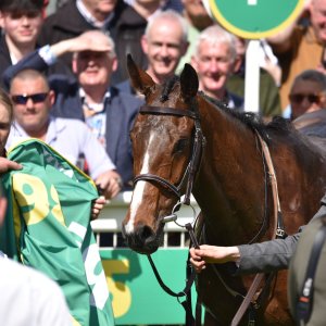 Sandown Park | Jump Finale | 29/4/23