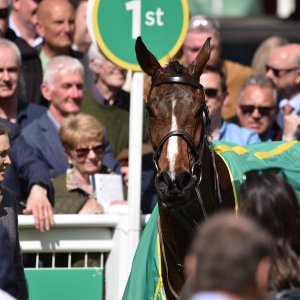 Sandown Park | Jump Finale | 29/4/23