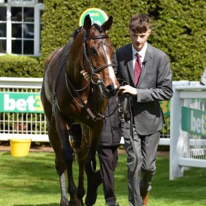 Sandown Park | Jump Finale | 29/4/23