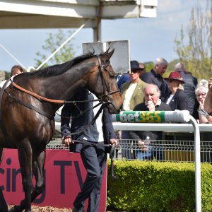 Sandown Park | Jump Finale | 29/4/23