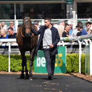 Sandown Park | Jump Finale | 29/4/23