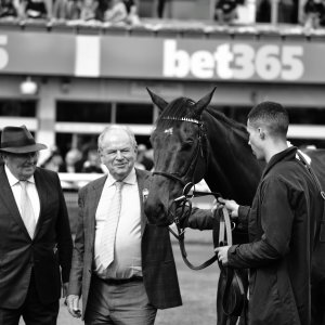 Sandown Park | Jump Finale | 29/4/23