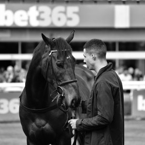 Sandown Park | Jump Finale | 29/4/23