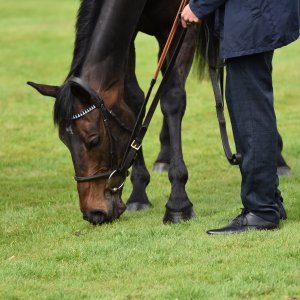 Sandown Park | Jump Finale | 29/4/23