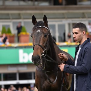 Sandown Park | Jump Finale | 29/4/23