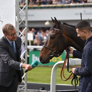 Sandown Park | Jump Finale | 29/4/23