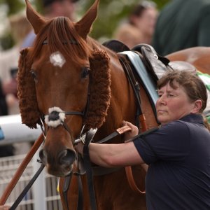 Sandown Park | Jump Finale | 29/4/23