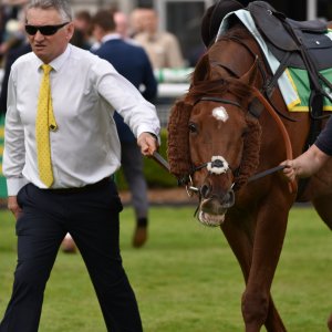 Sandown Park | Jump Finale | 29/4/23