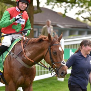 Sandown Park | Jump Finale | 29/4/23