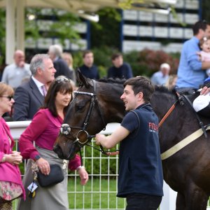 Sandown Park | Jump Finale | 29/4/23