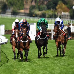 Sandown Park | Jump Finale | 29/4/23