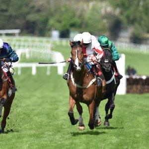 Sandown Park | Jump Finale | 29/4/23